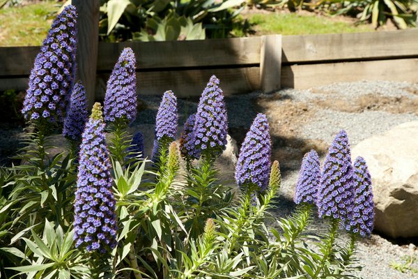 Le guide ultime : Choisir le vitrage idéal pour une véranda en hiver rigoureux